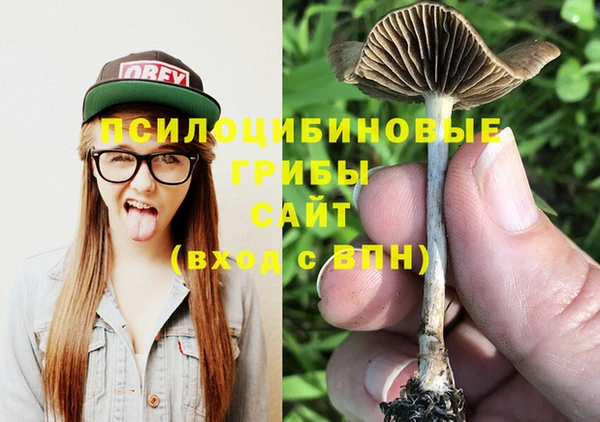 дурь Новокубанск