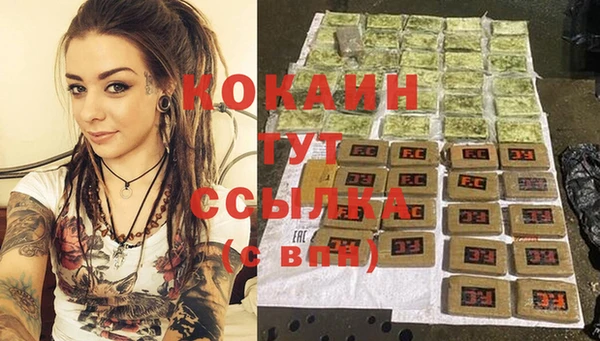 альфа пвп Новодвинск