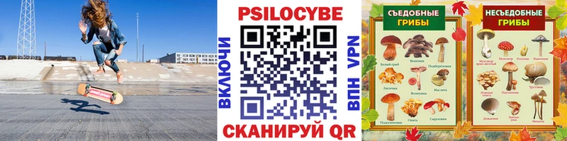 Псилоцибиновые грибы Psilocybine cubensis  Истра 