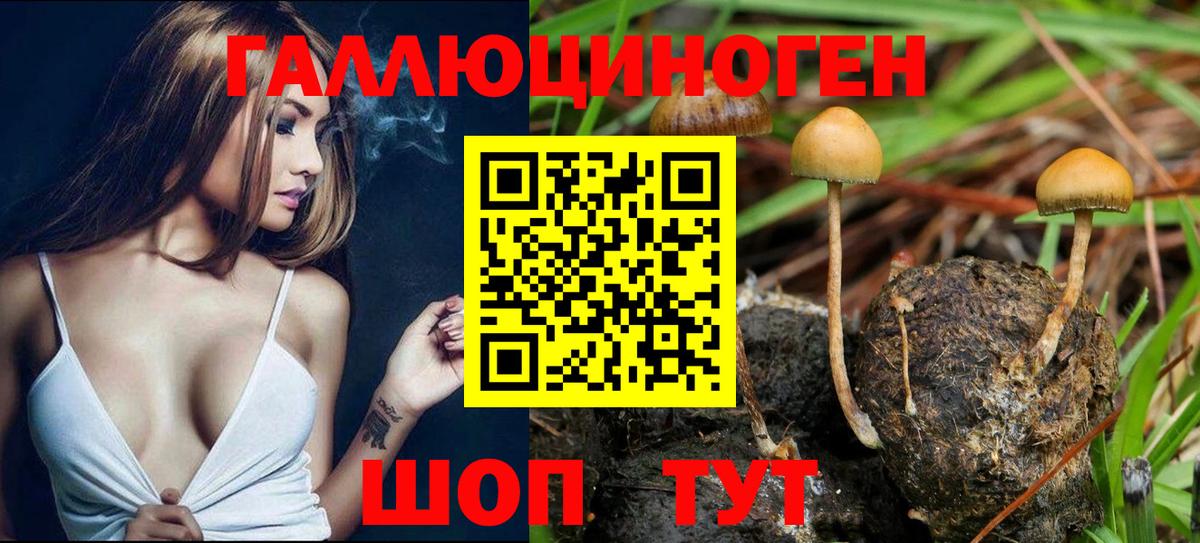 Галлюциногенные грибы ЛСД Истра