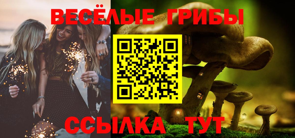 Галлюциногенные грибы Cubensis  наркошоп  Вход с VPN  Истра  Галлюциногенные грибы мицелий 